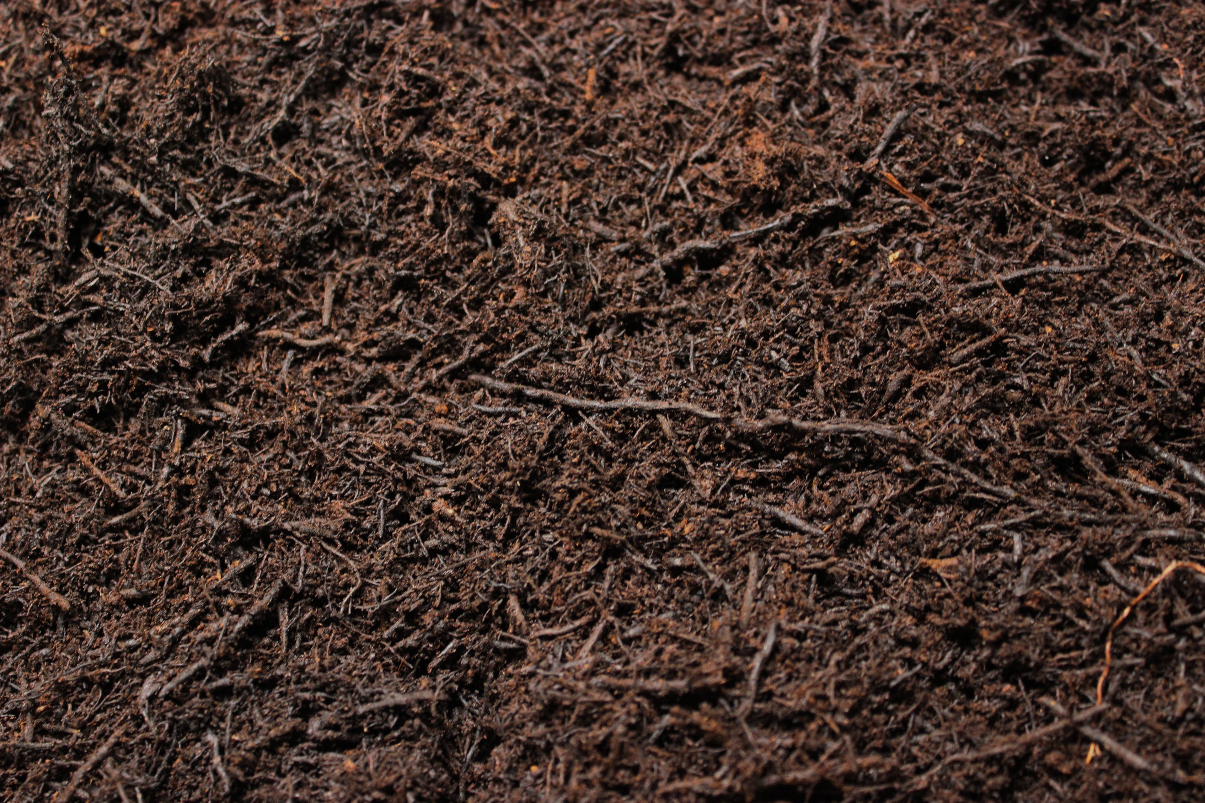 Tree Fern Substrate – 12L (Non-Fertilized)