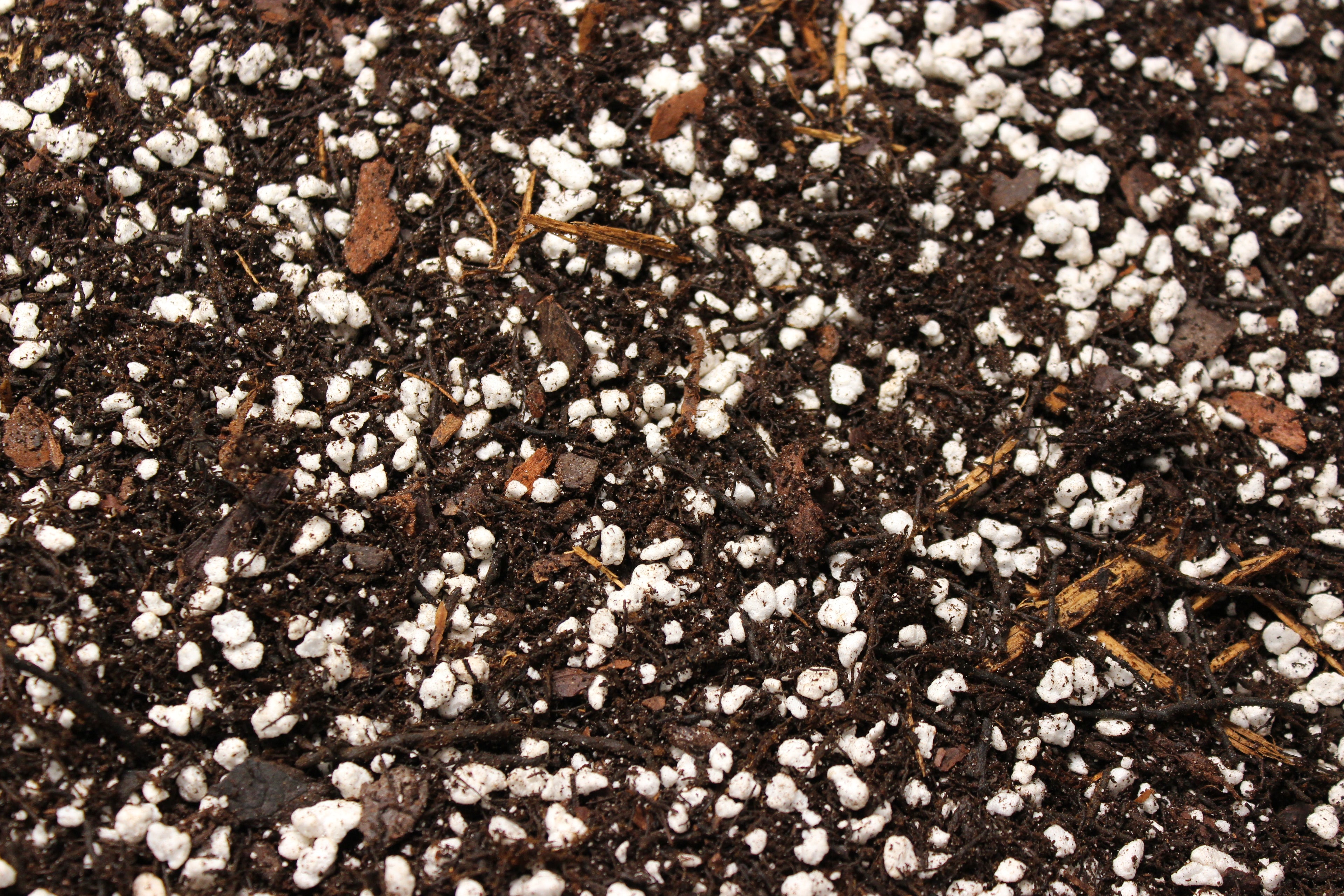 Aroid Mix for Growth and Propagation - 12L (Non-Fertilized)