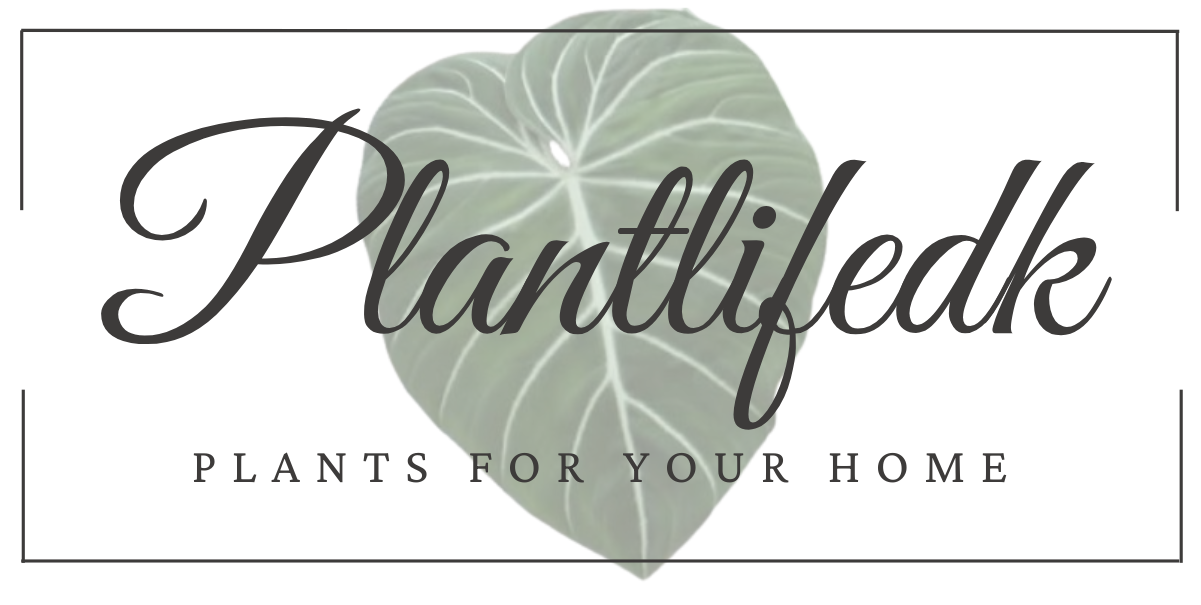 Plantlifedk